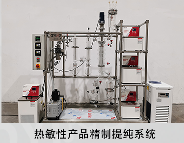夾套全包 短程0.1~1平方玻璃分子蒸餾